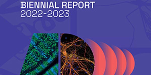 IMBB_Biennial_Report_2022-2023_is_now_public.