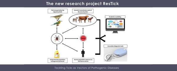 Development_of_innovative_tools_for_tackling_ticks