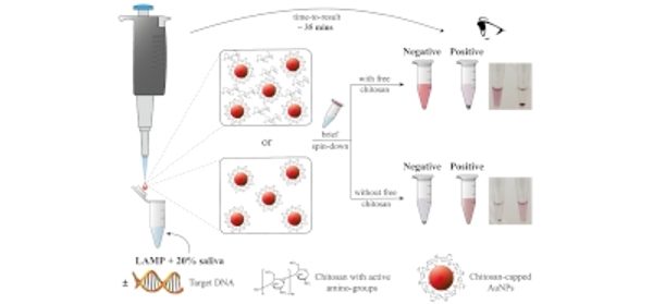 Detection_of_isothermally-amplified_DNA_by_naked-e