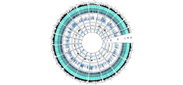 XPF_interacts_with_TOP2B_for_R-loop_processing_and