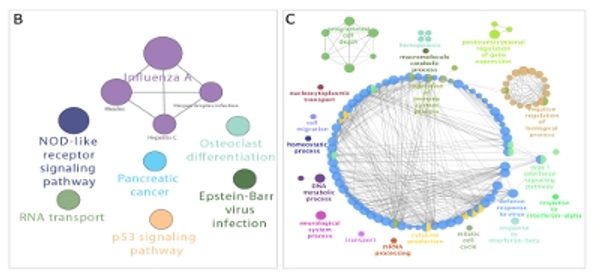 Combined-genetic-and