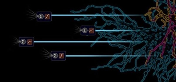 Challenging_the_point_neuron_dogma:_FS_basket_cell