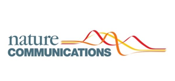 Hotspots_of_dendritic_spine_turnover_facilitate_cl