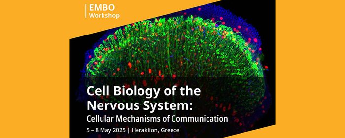 Crete hosts a prestigious International Neurosciences Conference  of the European Molecular Biology Organization (EMBO)