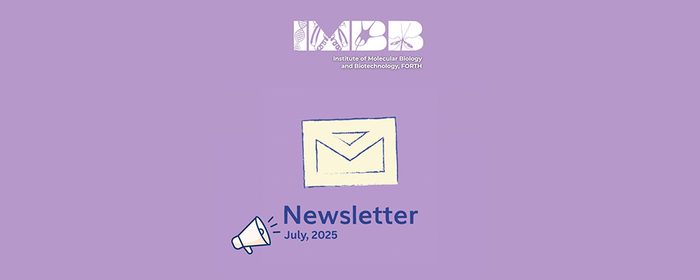 IMBB Alumni Summer Newsletter is now out