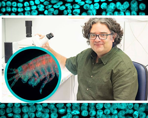 Prestigious_HFSP_Research_Grant_awarded_to_FORTH_R