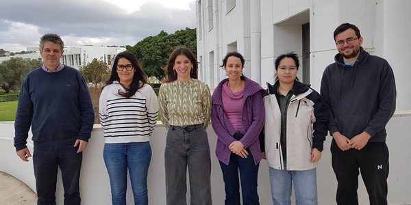 Μosquito_vectors_of_malaria_rapidly_develop_resis