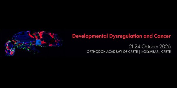 IMBB_is_organizing_a_conference_on_the_connection_