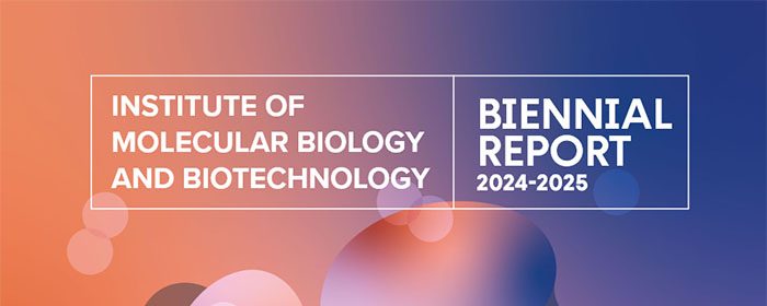 IMBB has just published its Biennial Report for the years 2024-2025