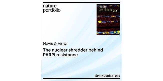 Σε άρθρο News & Views στο Nature Cell Biology, ο Νεκτάριος Ταβερναράκης σχολιάζει νέα ευρήματα για την ανθεκτικότητα των καρκινικών κυττάρων στις θεραπείες