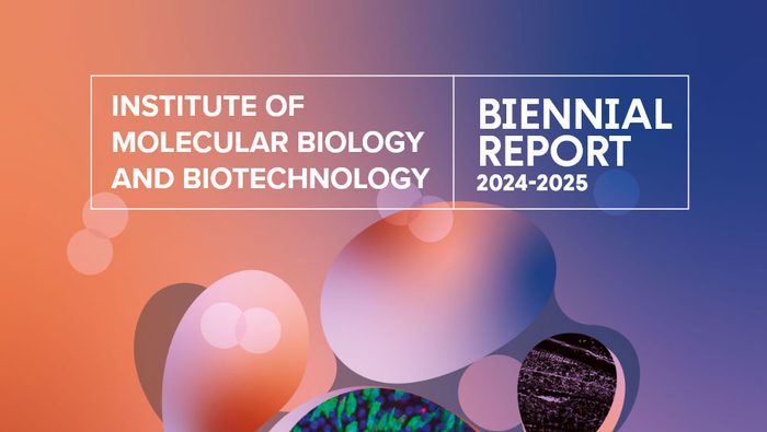 IMBB has just published its Biennial Report for the years 2024-2025