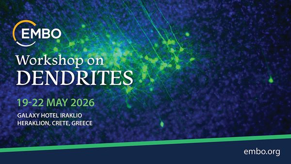 Τhe_EMBO_Workshop_on_Dendrites_and_Beyond_Success