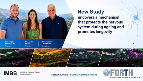 New_study_uncovers_a_mechanism_that_protects_the_n