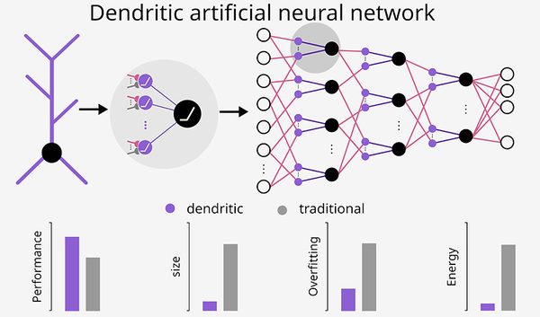 Artificial_neural_networks_with_dendrites:_a_possi